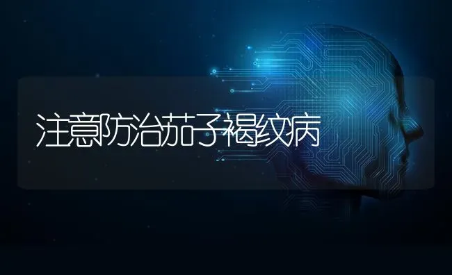 注意防治茄子褐纹病 | 蔬菜种植