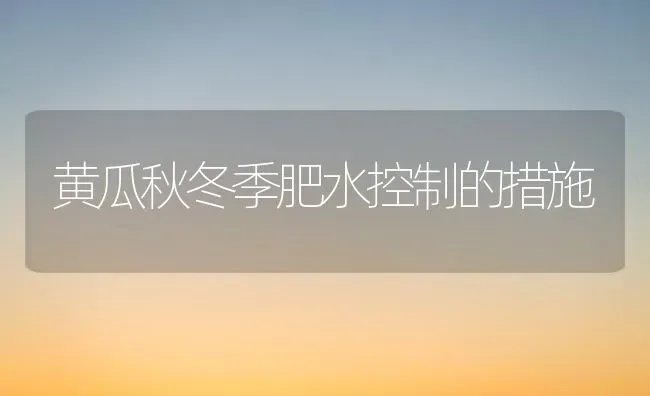 黄瓜秋冬季肥水控制的措施 | 蔬菜种植