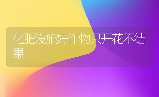化肥没施好作物只开花不结果 | 瓜果种植