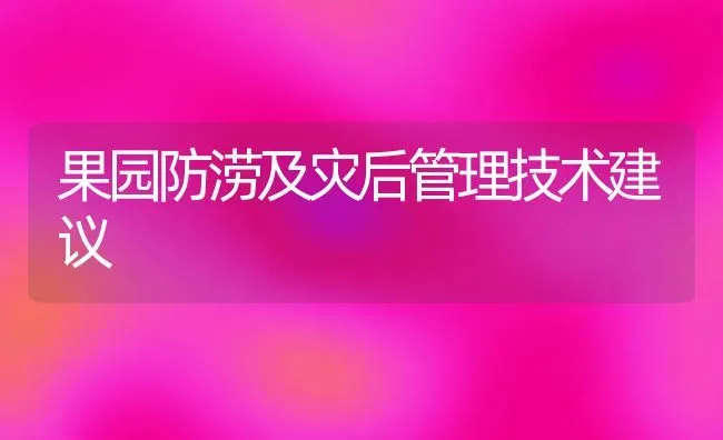 果园防涝及灾后管理技术建议 | 瓜果种植