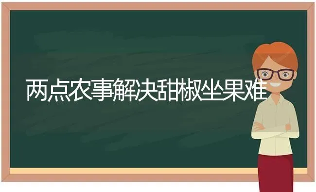 两点农事解决甜椒坐果难 | 瓜果种植