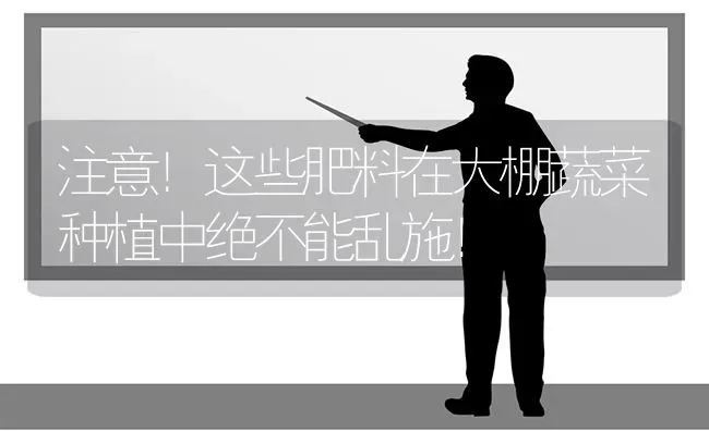 注意！这些肥料在大棚蔬菜种植中绝不能乱施！ | 蔬菜种植