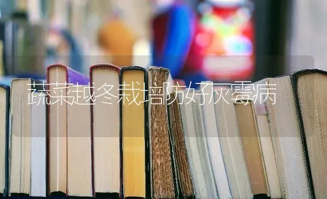 蔬菜越冬栽培防好灰霉病 | 蔬菜种植