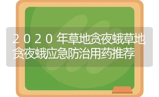 怎样使黄瓜雌花增多 | 蔬菜种植