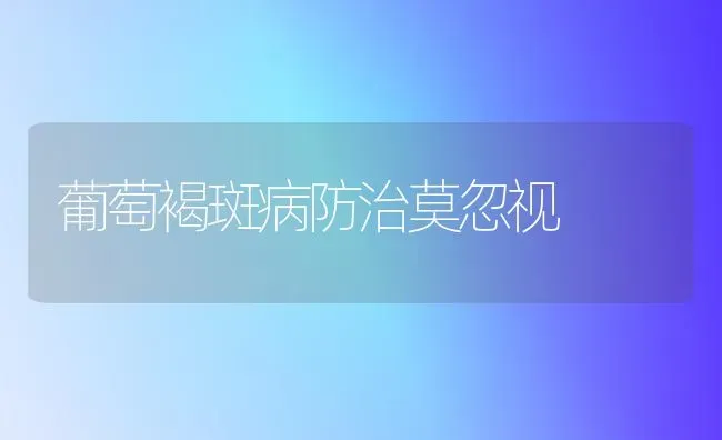 葡萄褐斑病防治莫忽视 | 瓜果种植