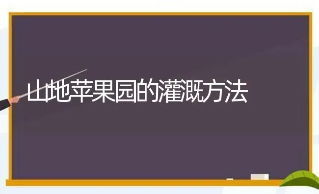 山地苹果园的灌溉方法 | 瓜果种植