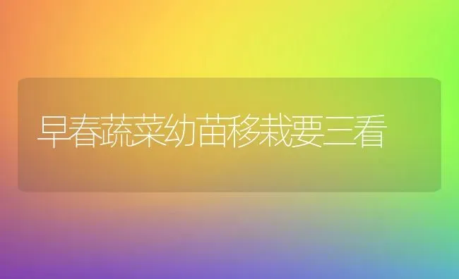 早春蔬菜幼苗移栽要三看 | 蔬菜种植