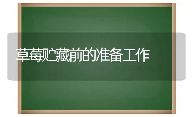 草莓贮藏前的准备工作 | 瓜果种植