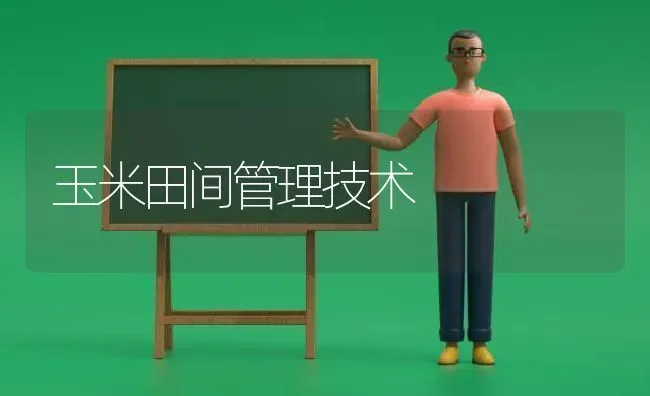 玉米田间管理技术 | 粮油作物种植