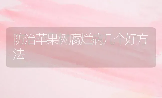 防治苹果树腐烂病几个好方法 | 瓜果种植
