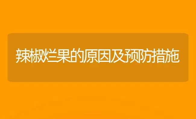辣椒烂果的原因及预防措施 | 瓜果种植
