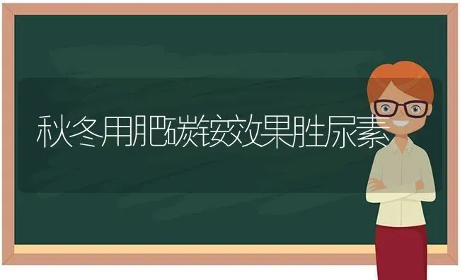 秋冬用肥碳铵效果胜尿素 | 瓜果种植