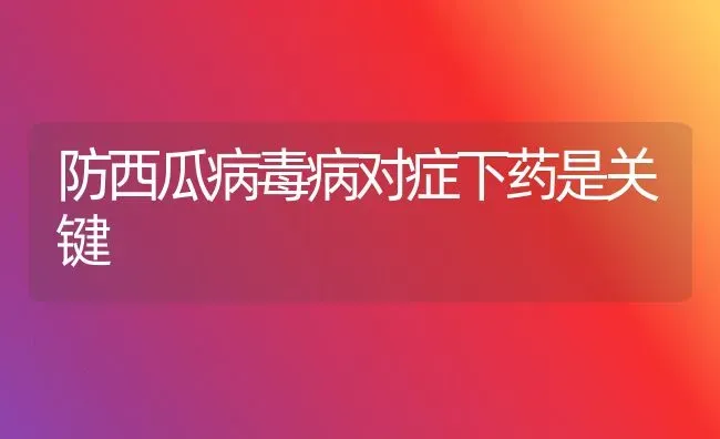 防西瓜病毒病对症下药是关键 | 瓜果种植