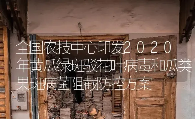 全国农技中心印发2020年黄瓜绿斑驳花叶病毒和瓜类果斑病菌阻截防控方案 | 瓜果种植