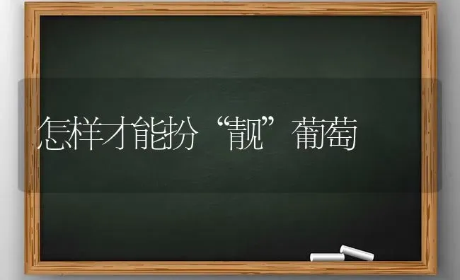 怎样才能扮“靓”葡萄 | 瓜果种植