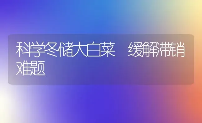 科学冬储大白菜 缓解滞销难题 | 蔬菜种植