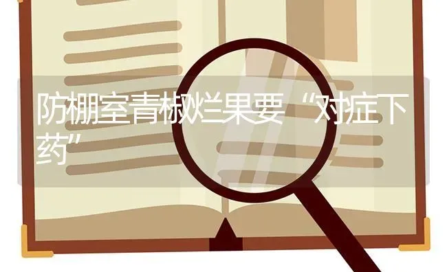 防棚室青椒烂果要“对症下药” | 瓜果种植