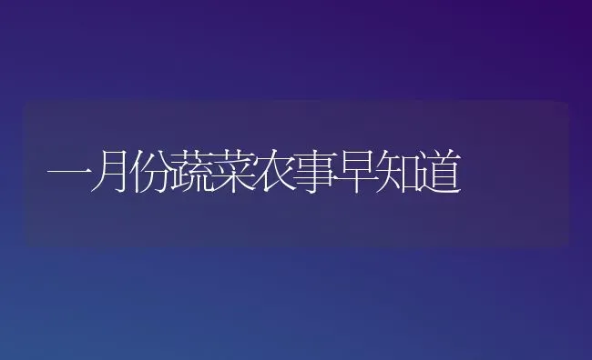一月份蔬菜农事早知道 | 蔬菜种植