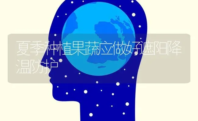 夏季种植果蔬应做好遮阳降温防护 | 瓜果种植