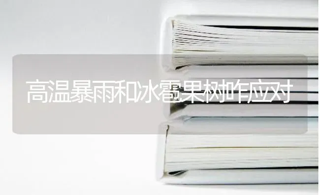 高温暴雨和冰雹果树咋应对 | 瓜果种植