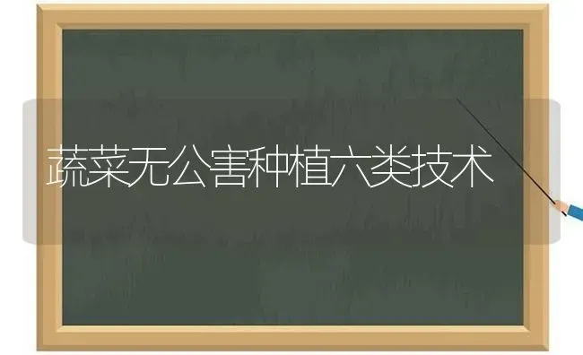 蔬菜无公害种植六类技术 | 蔬菜种植