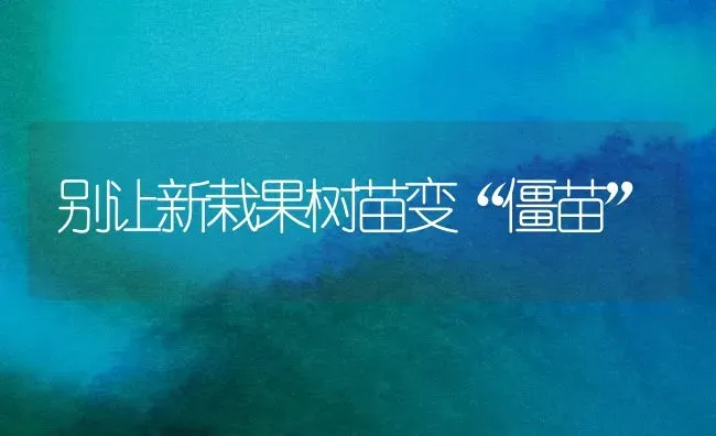 别让新栽果树苗变“僵苗” | 瓜果种植