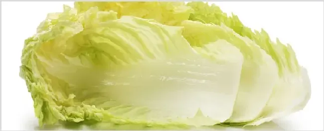 白菜种子怎么来的 | 农业科普