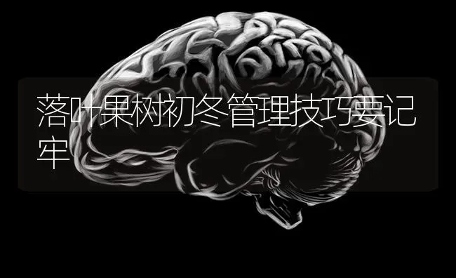 落叶果树初冬管理技巧要记牢 | 瓜果种植