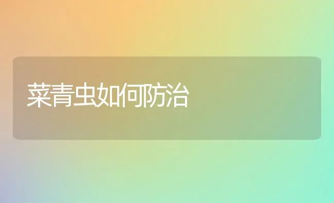 菜青虫如何防治 | 蔬菜种植