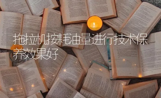 拖拉机按耗油量进行技术保养效果好 | 瓜果种植