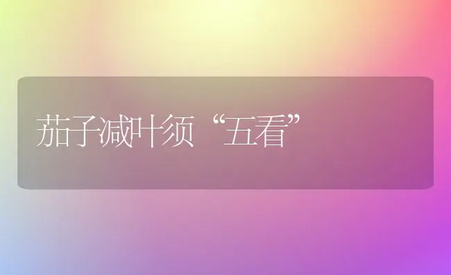 茄子减叶须“五看” | 蔬菜种植