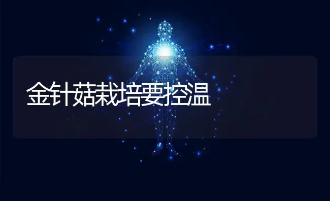 金针菇栽培要控温 | 食用菌种植