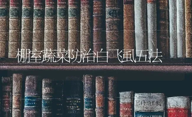 棚室蔬菜防治白飞虱五法 | 蔬菜种植