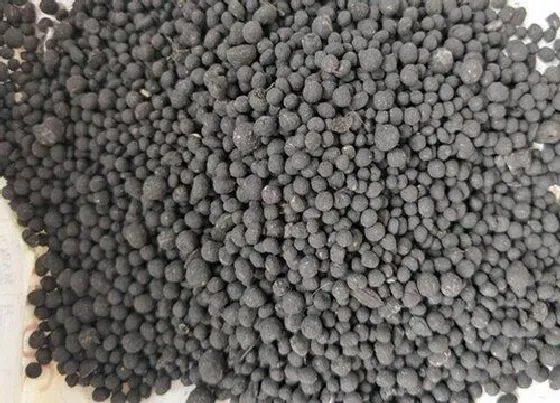 植物施肥|羊粪能直接种花吗，如何用腐熟的羊粪种植盆栽花卉）