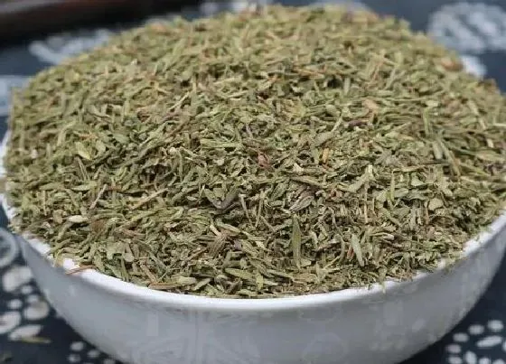 植物香味|什么香料可以满街飘香（添加哪种飘香调料能香一条街）