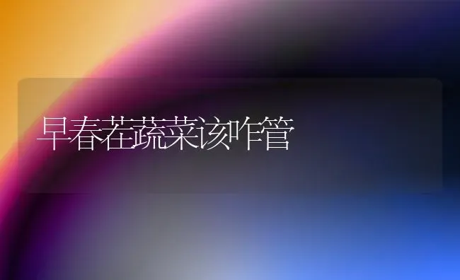 早春茬蔬菜该咋管 | 蔬菜种植