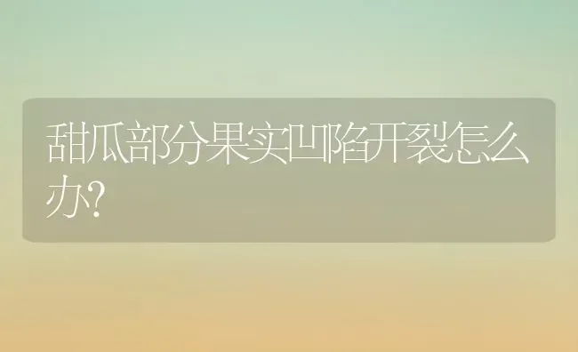 青梗菜防虫栽培 | 蔬菜种植