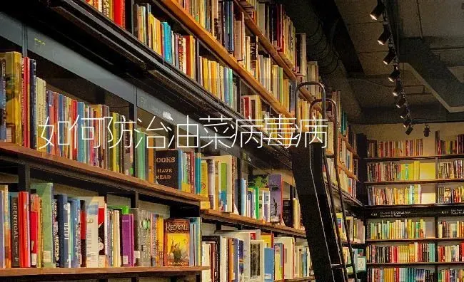 如何防治油菜病毒病 | 粮油作物种植