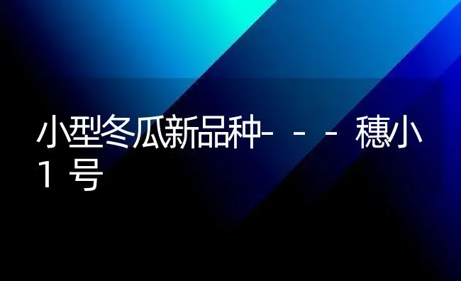 小型冬瓜新品种---穗小1号 | 蔬菜种植