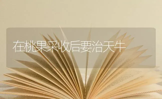 在桃果采收后要治天牛 | 瓜果种植