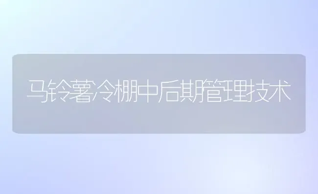马铃薯冷棚中后期管理技术 | 粮油作物种植