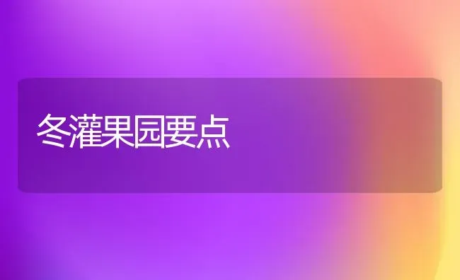 冬灌果园要点 | 瓜果种植