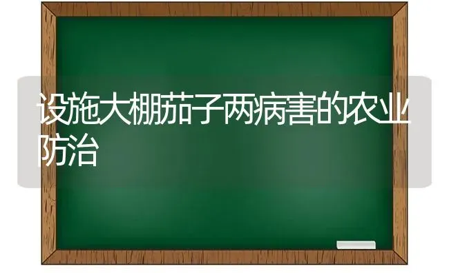 设施大棚茄子两病害的农业防治 | 蔬菜种植