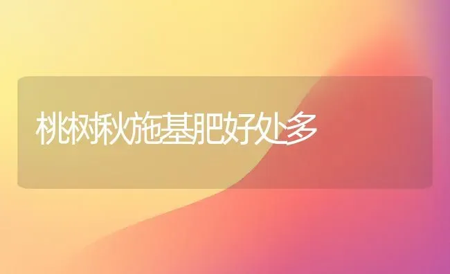 桃树秋施基肥好处多 | 瓜果种植