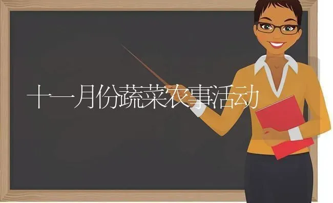 十一月份蔬菜农事活动 | 蔬菜种植