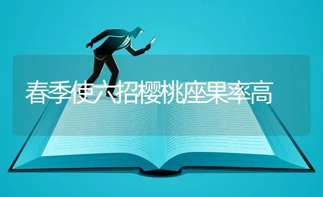 春季使六招樱桃座果率高 | 瓜果种植