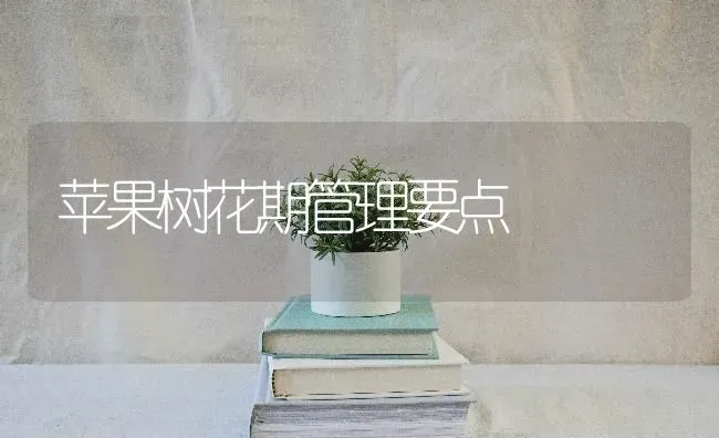 苹果树花期管理要点 | 瓜果种植