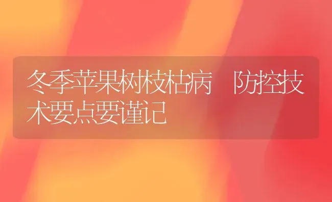 冬季苹果树枝枯病 防控技术要点要谨记 | 瓜果种植