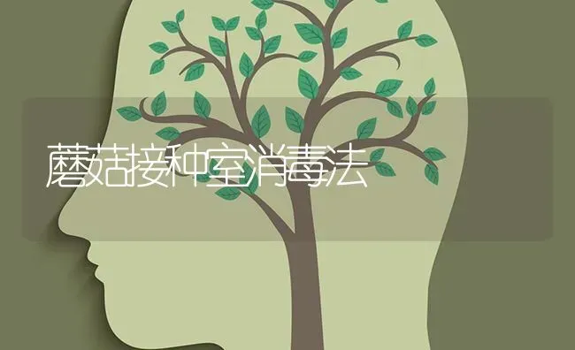蘑菇接种室消毒法 | 食用菌种植