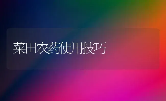 菜田农药使用技巧 | 种植病虫害防治